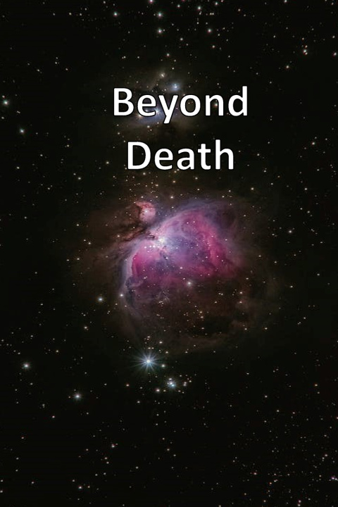Buch Beyond Death Owen Richard Austin Owen