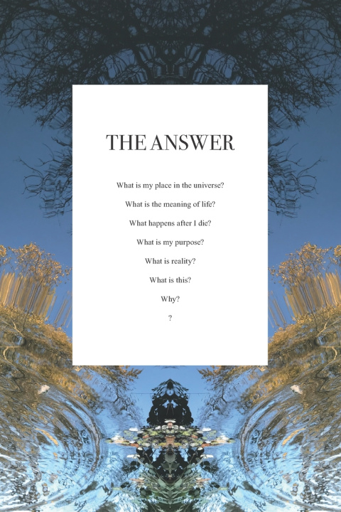 Knjiga Answer James Brett James