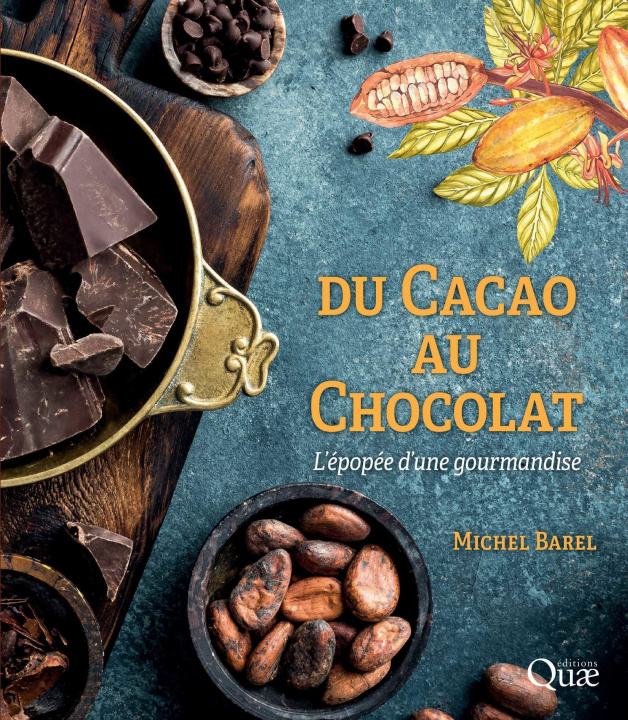 Buch Du cacao au chocolat BAREL MICHEL