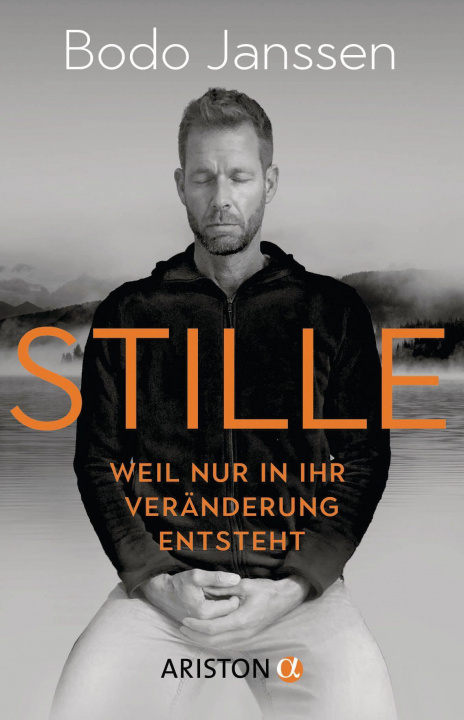 Книга Stille 