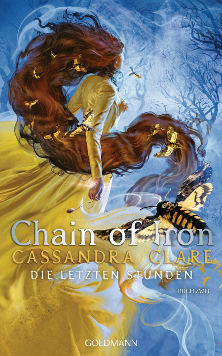 Könyv Chain of Iron Franca Fritz
