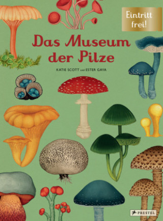 Kniha Das Museum der Pilze Katie Scott