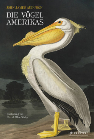 Carte Die Vögel Amerikas David Allen Sibley
