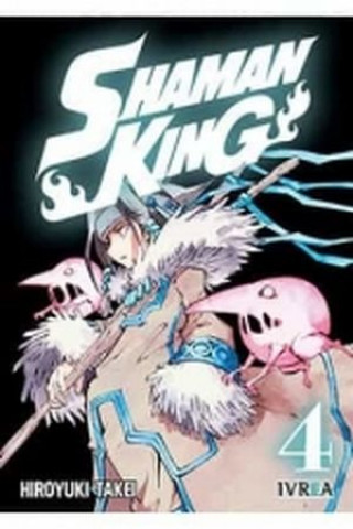 Kniha Shaman King 4 HIROYUKI TAKEI