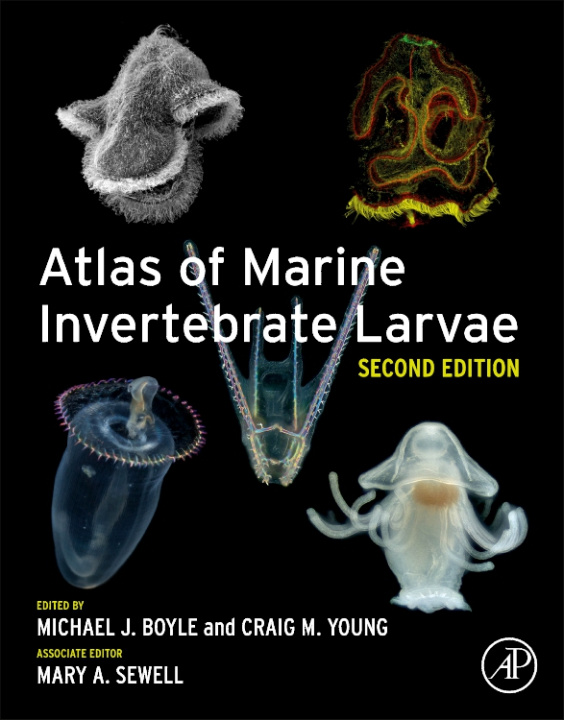 Kniha Atlas of Marine Invertebrate Larvae Craig Young