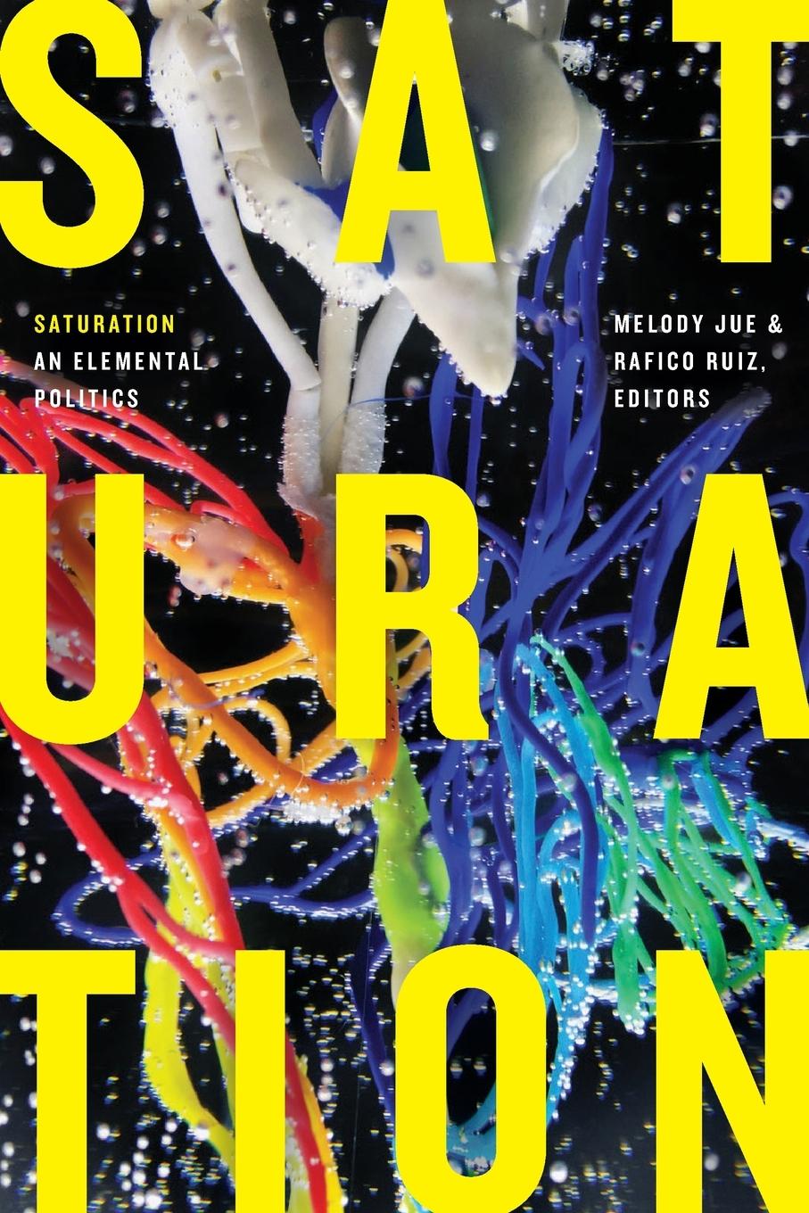 Boek Saturation Rafico Ruiz