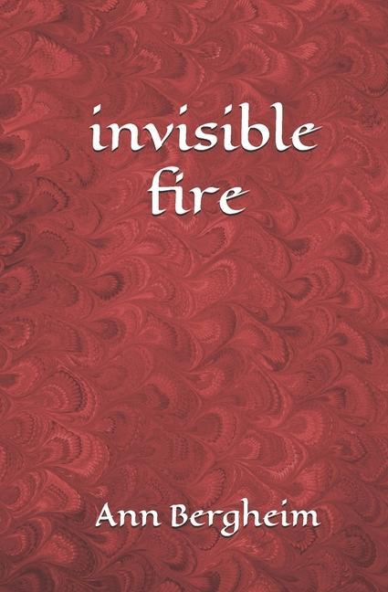 Buch invisible fire Ann Bergheim