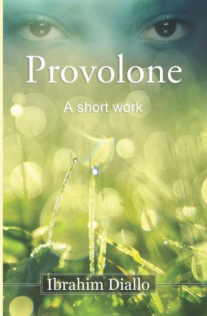 Knjiga Provolone: A short work Ibrahim Diallo