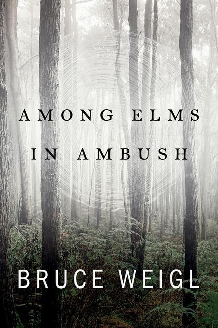 Książka Among Elms, in Ambush Bruce Weigl