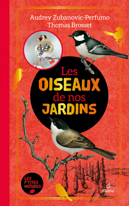 Carte Les oiseaux de nos jardins BROSSET