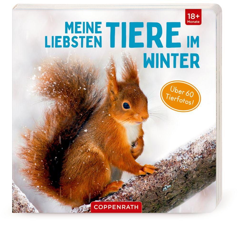 Könyv Meine liebsten Tiere im Winter 