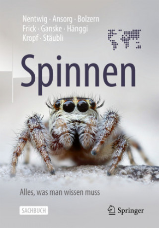 Kniha Spinnen - Alles, was man wissen muss Jutta Ansorg