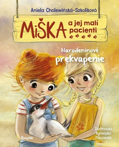 Kniha Miška a jej malí pacienti Narodeninové prekvapenie Aniela Cholewinska-Szkoliková