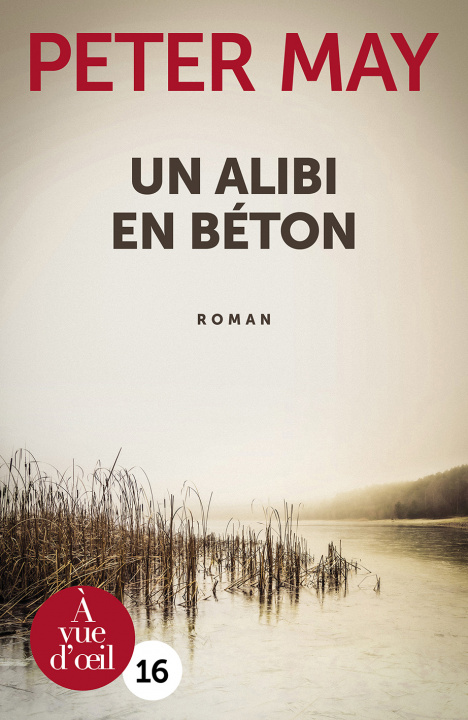 Kniha UN ALIBI EN BETON May