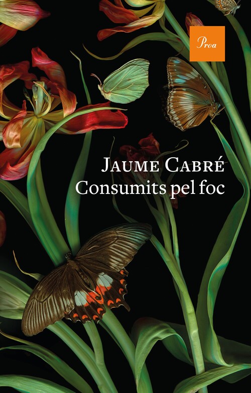 Buch Consumits pel foc JAUME CABRE