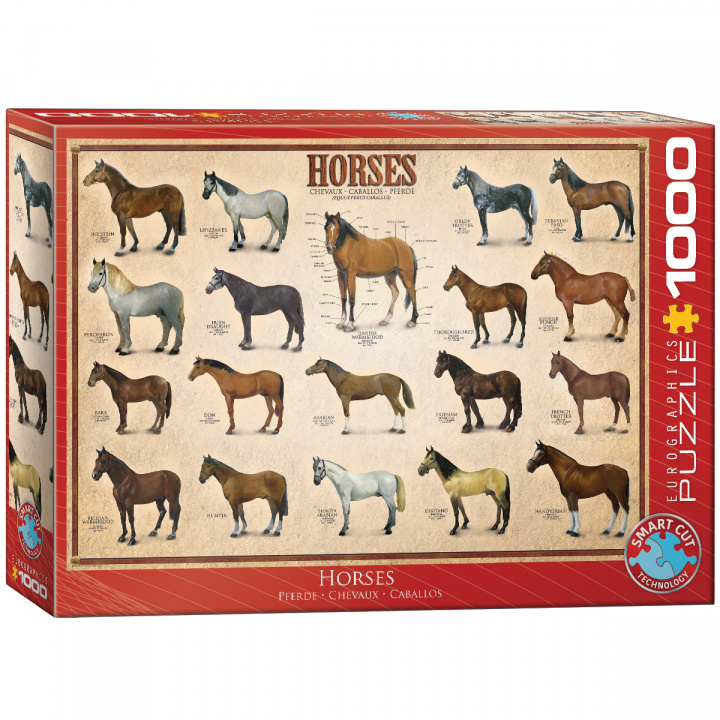 Kniha Puzzle 1000 Horses 6000-0078 