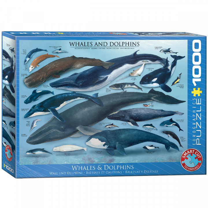 Könyv Puzzle 1000 Whales&Dolphins 6000-0082 