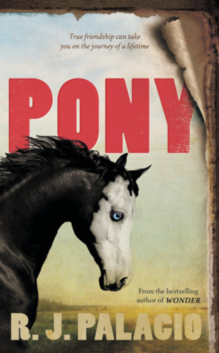 Knjiga Pony Author TBA 304643