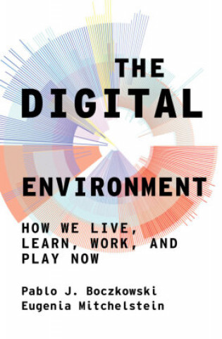 Carte Digital Environment Eugenia Mitchelstein