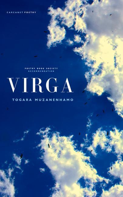 Kniha Virga Togara Muzanenhamo