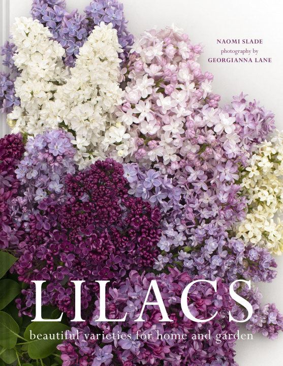 Kniha Lilacs NAOMI SLADE  GEORGIA