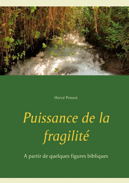 Knjiga Puissance de la fragilite Hervé Ponsot
