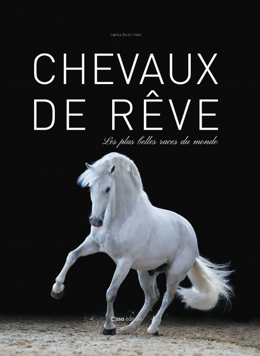 Könyv Chevaux de rêve Laetitia Boulin-Néel