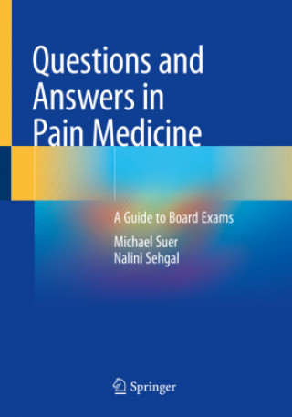 Könyv Questions and Answers in Pain Medicine Michael Suer