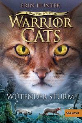 Kniha Warrior Cats - Vision von Schatten. Wütender Sturm Friederike Levin