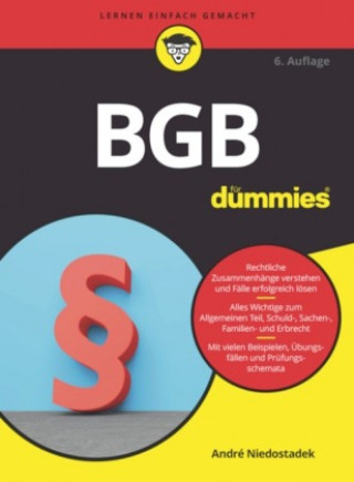Buch BGB fur Dummies Andre Niedostadek
