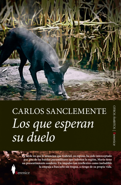 Boek Los Que Esperan Su Duelo SANCLEMENTE