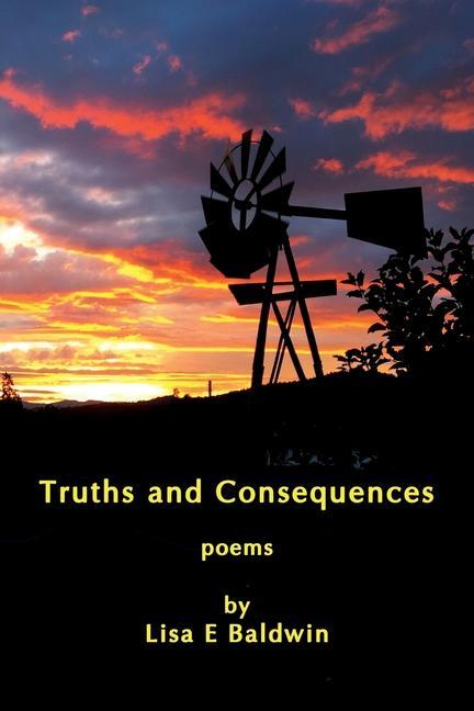Knjiga Truths and Consequences Lisa E. Baldwin
