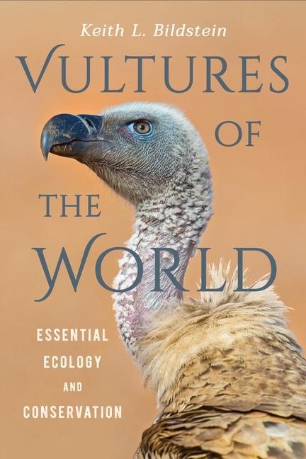 Книга Vultures of the World 