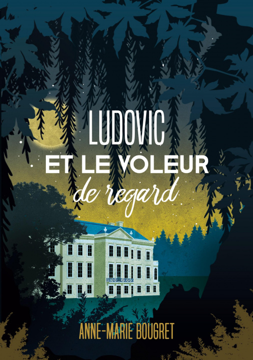 Livre Ludovic et le voleur de regard 