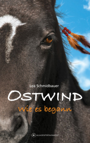 Kniha OSTWIND - Wie es begann 
