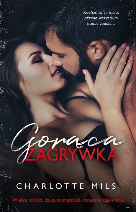 Book Gorąca zagrywka Charlotte Mils