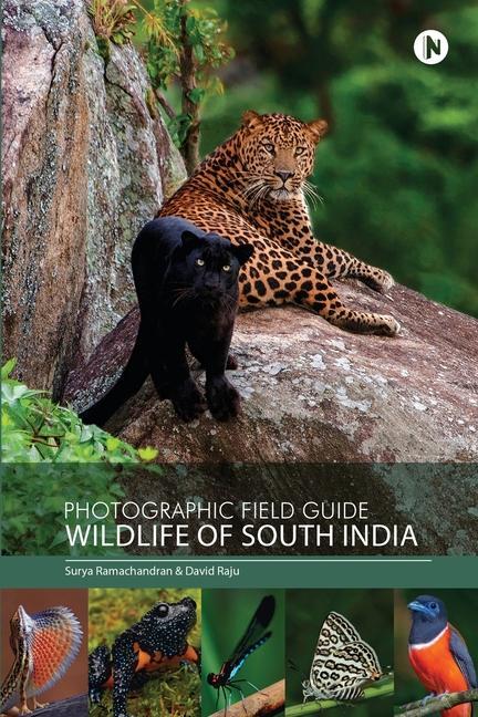 Carte Photographic Field Guide - Wildlife of South India David Raju