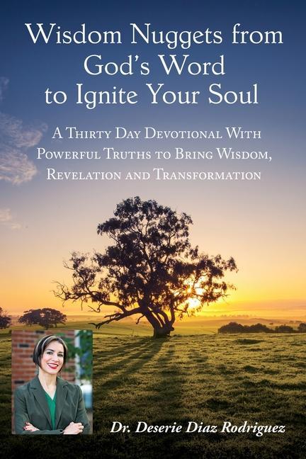 Carte Wisdom Nuggets from God's Word to Ignite Your Soul 