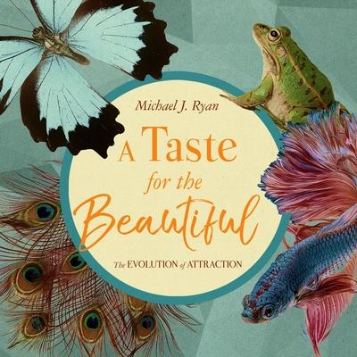 Audio A Taste for the Beautiful Lib/E: The Evolution of Attraction Eric Martin