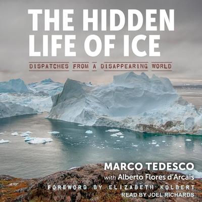 Audio The Hidden Life of Ice Lib/E: Dispatches from a Disappearing World Alberto Flores D'Arcais