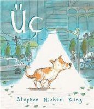 Knjiga Üc 