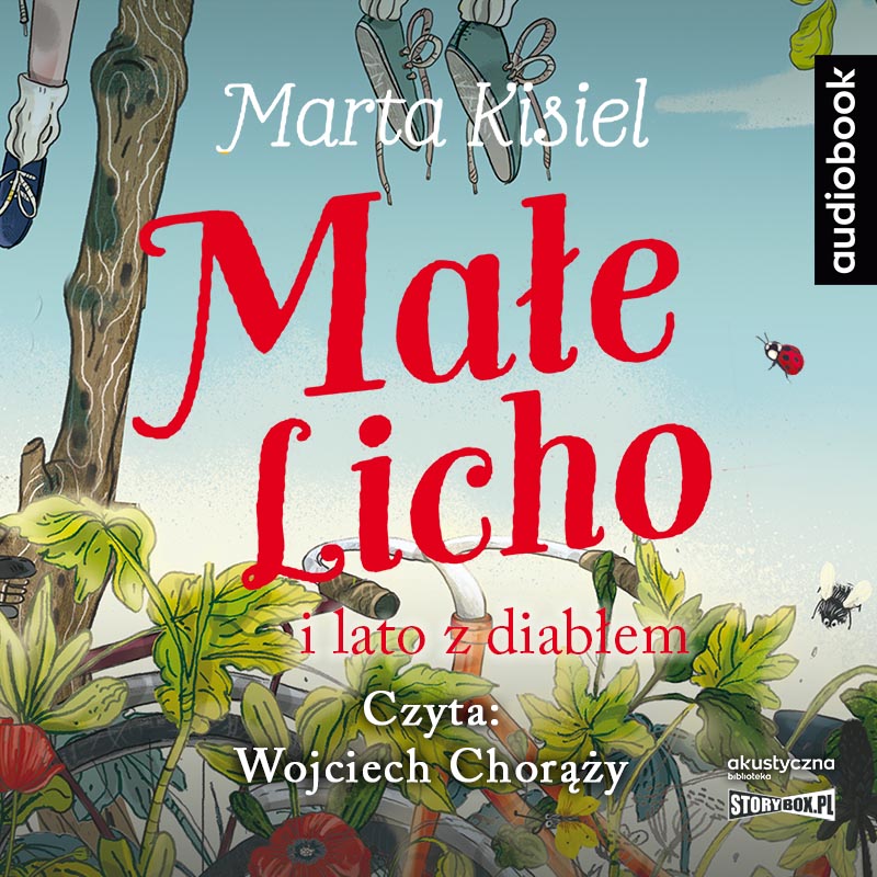 Book CD MP3 Małe Licho i lato z diabłem Marta Kisiel