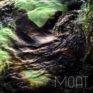 Audio Poison Stream Moat