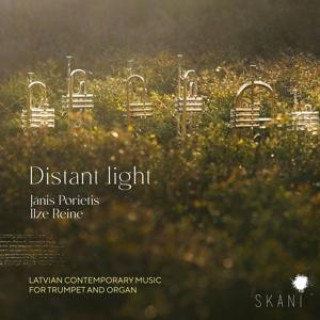 Zvok Distant Light 