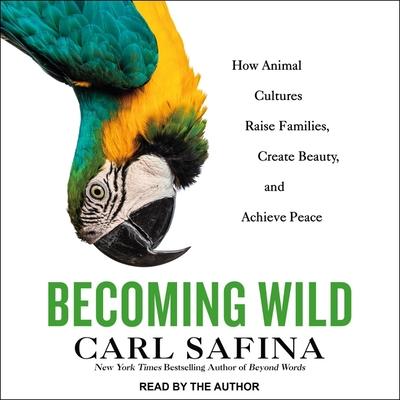 Digital Becoming Wild: How Animal Cultures Raise Families, Create Beauty, and Achieve Peace Carl Safina