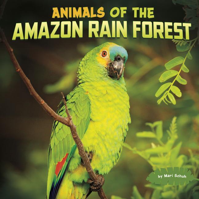 Βιβλίο Animals of the Amazon Rain Forest Schuh