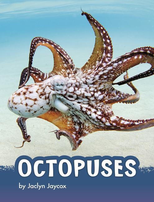 Libro Octopuses 