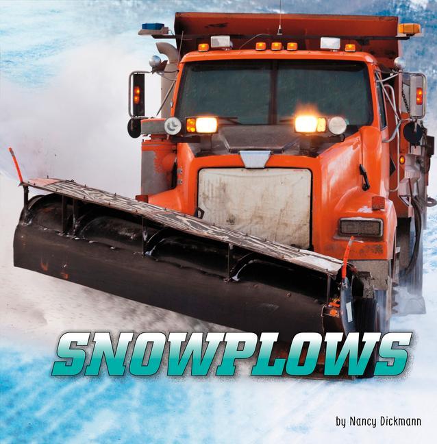 Buch Snowplows Dickmann