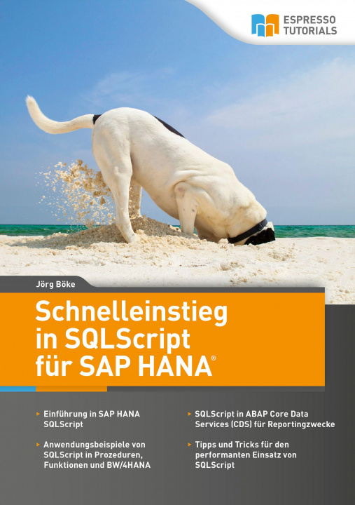 Knjiga Schnelleinstieg in SQLScript für SAP HANA 