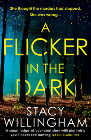 Könyv Flicker in the Dark Stacy Willingham
